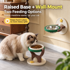 Wall-mounted and floor-standing 2-in-1 elevated pet bowl options