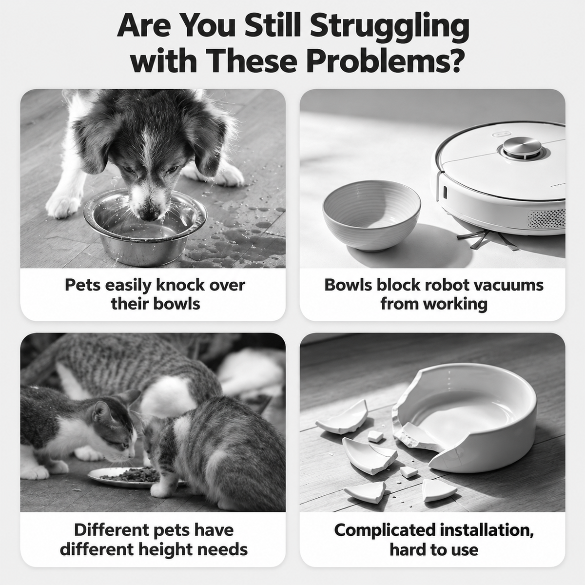 Guide showing problem solution for the 2-in-1 elevated pet bowl
