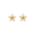 Big Island Earrings