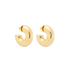 Mini Chubby Hoops