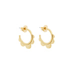 Scallop Hoops