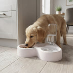 Automatic Pet Water Bowl – Cat Dog Drinking & Feeding Bowl Dual Use – product image 6