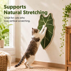 Botanical sisal cat scratcher mat mounted vertically with a cat stretching against it.