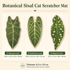 Botanical sisal cat scratcher mat style and size chart for alocasia, anthurium and begonia leaves.