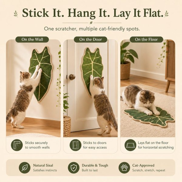 Botanical sisal cat scratcher mat showing wall, door and floor placement examples.