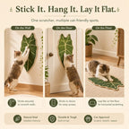 Botanical sisal cat scratcher mat showing wall, door and floor placement examples.