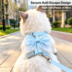 Bow cat harness and leash set worn by a cat during an outdoor walk