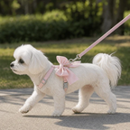 Bow cat harness and leash set worn by a small dog outdoors