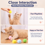 Guide showing interactive play for the colorful plush cat toy balls