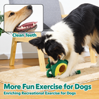 Fruit-shaped squeaky dog rope toy with a dog chewing during play