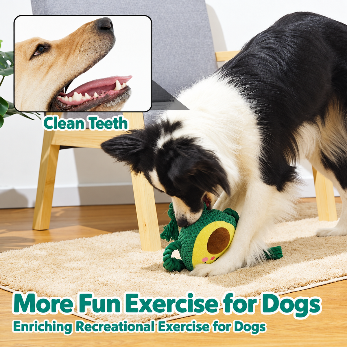 Fruit-shaped squeaky dog rope toy with a dog chewing during play