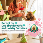 Fruit-shaped squeaky dog rope toy presented as a pet gift