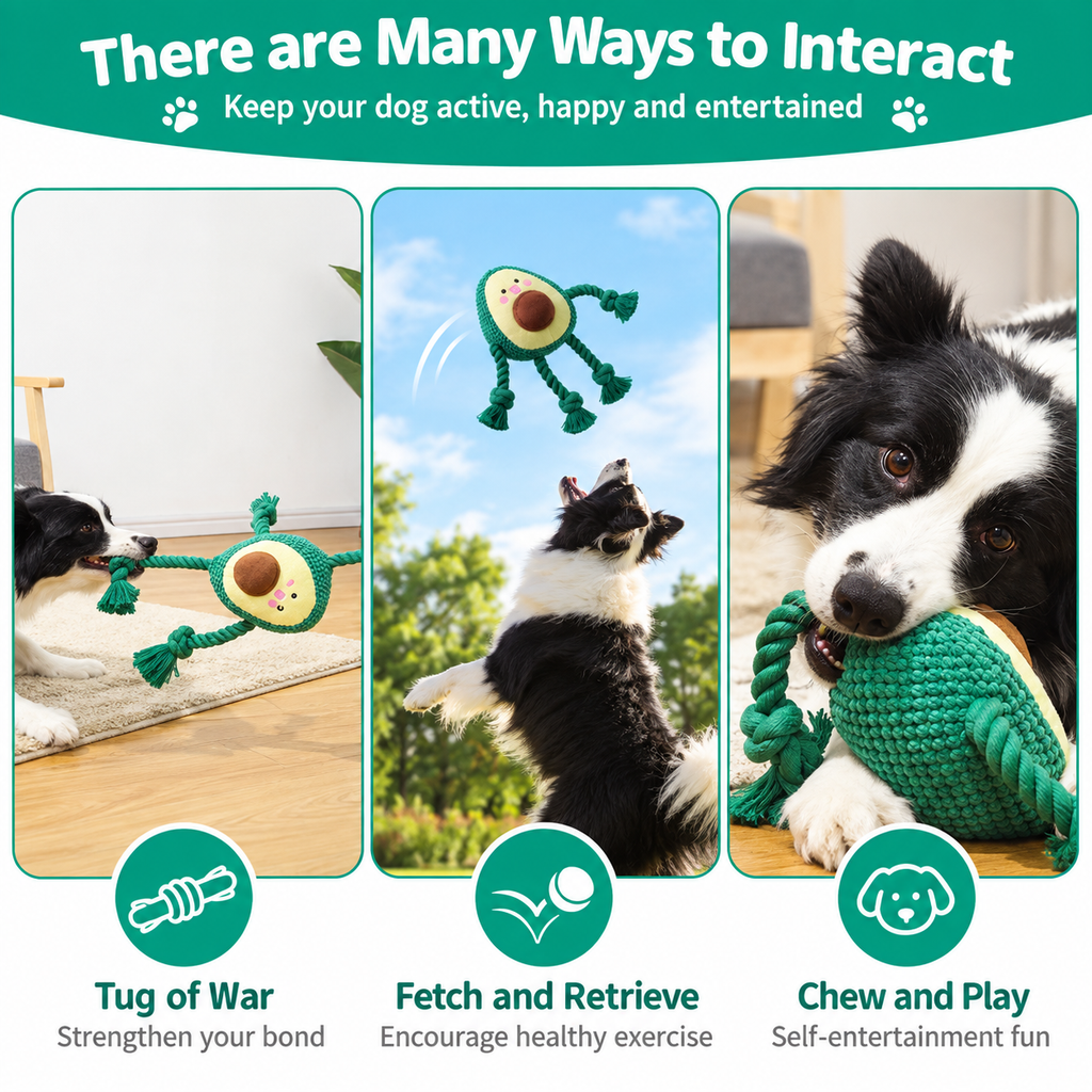 Guide showing play options for the fruit-shaped squeaky dog rope toy