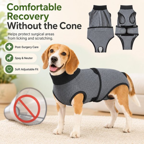 Gray dog recovery suit front and back outfit views beside a standing beagle.