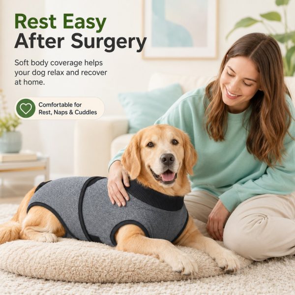 Gray dog recovery suit worn by a resting dog being petted on a cushion.