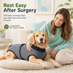 Gray dog recovery suit worn by a resting dog being petted on a cushion.