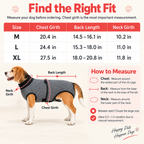 Gray dog recovery suit size chart showing chest, back and neck measuring points.
