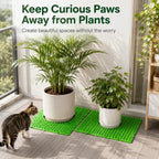 Green cat deterrent mat placed around plant pots beside a curious cat.