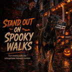 Halloween monster dog muzzle costume worn by a dog on a leash at a decorated Halloween porch.