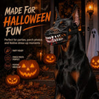 Halloween monster dog muzzle costume worn by a sitting dog beside carved pumpkins.