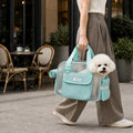 Mesh pet carrier tote in mint carried past a cafe with a small white dog.
