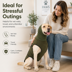 Olive green dog calming shirt worn by a dog sitting beside its owner at a clinic.