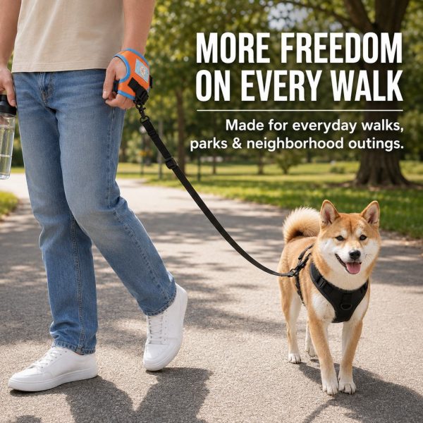 Orange and blue wrist dog leash used on a park walk with a small dog.
