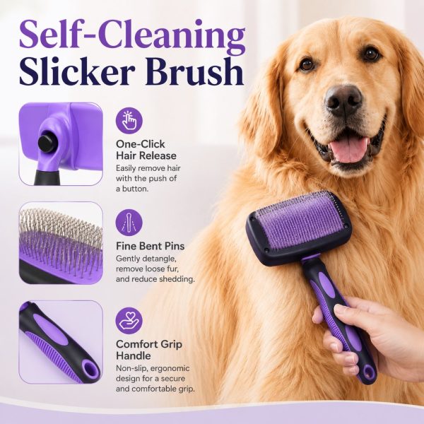Purple pet grooming kit with a slicker brush used on a golden dog's coat.