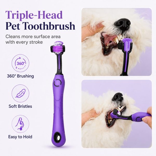Purple pet grooming kit with a triple head toothbrush used on a small dog's teeth.