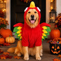 Red turkey costume for dogs and cats worn by a golden dog beside pumpkins and lanterns.