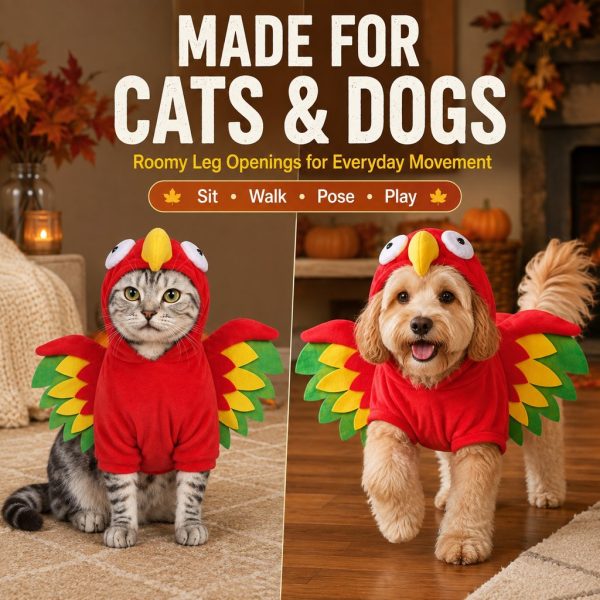 Red turkey costume for dogs and cats modeled by a cat and a small dog indoors.