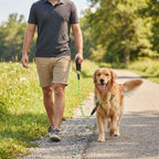 Reflective Dog Leash – Padded Handle – Heavy Duty Rope For Strong Dogs