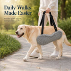 Reversible dog lift support sling used to assist a dog walking along a garden path.