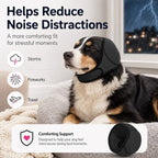 Soft dog ear cover in dark gray worn by a dog resting near a stormy window.
