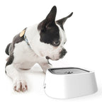 Splash – Free Dog Water Bowl – Floating Disk No Spill Slow Feeder – product image 11
