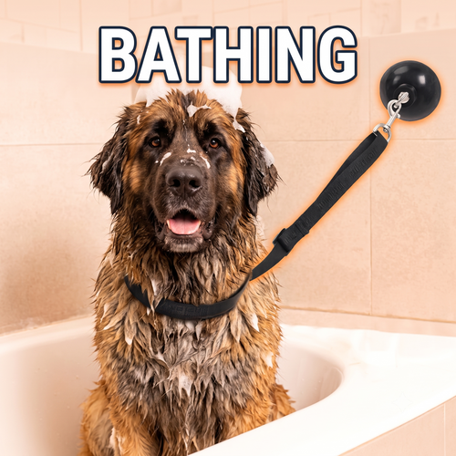 Suction cup dog grooming tether in black attached to a tub wall beside a wet dog.