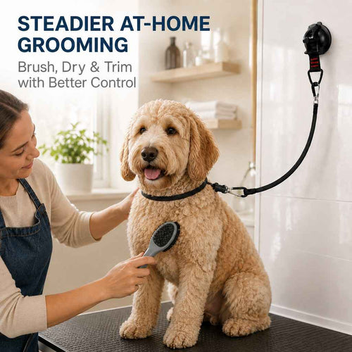 Suction cup dog grooming tether in black used during supervised brushing at home.