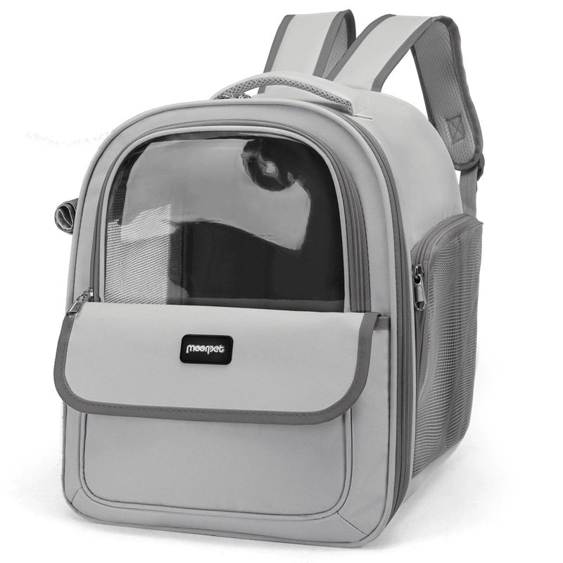 Transparent cat backpack carrier in gray displayed against a white background.