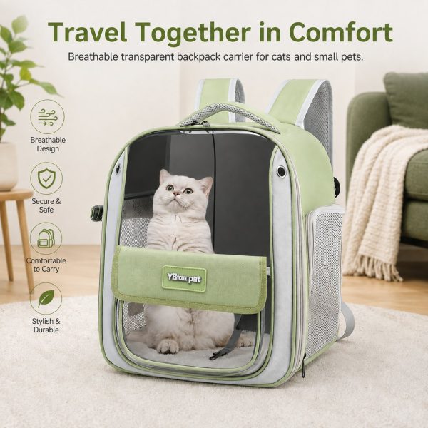 Transparent cat backpack carrier in green with a cat sitting behind the clear front panel.