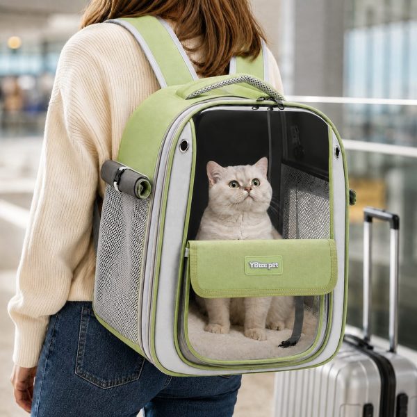 Transparent cat backpack carrier in green worn beside luggage with a cat visible inside.