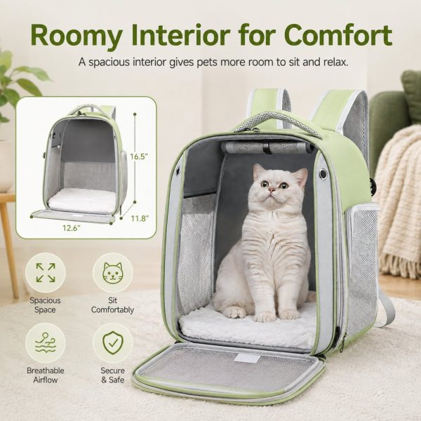 Transparent cat backpack carrier unzipped at the front to show a cat and interior space.